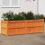 Jardinieră de grădină, maro ceruit, 150x50x50 cm lemn masiv pin GartenMobel Dekor