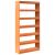 Bibliotecă/Separator cameră, 100x30x199,5 cm, lemn masiv pin GartenMobel Dekor