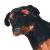 Jucărie de pluș câine rottweiler, negru și maro, XXL GartenMobel Dekor