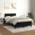 Pat box spring cu saltea, negru, 120x190 cm, catifea GartenMobel Dekor