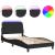 Cadru de pat cu lumini LED, negru, 100x200 cm, catifea GartenMobel Dekor