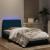 Cadru de pat cu lumini LED, albastru, 100x200 cm, catifea GartenMobel Dekor