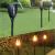 Lampa solara pentru gradina, Gardlov, tip faclie, 12 LED, alb cald, 7x51 cm GartenVIP DiyLine