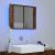 Dulap cu oglindă & LED stejar fumuriu 60x12x45 cm lemn compozit GartenMobel Dekor