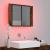 Dulap cu oglindă & LED stejar fumuriu 60x12x45 cm lemn compozit GartenMobel Dekor