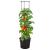 Ghiveci cultivare roșii, antracit, Ø 29,5x115 cm, polipropilenă GartenMobel Dekor