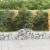 Coșuri gabion arcuite 7 buc, 200x30x40/60 cm, fier galvanizat GartenMobel Dekor