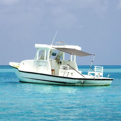 Extensie parasolar T-Top, gri antracit, 170x170x(113-182,5) cm GartenMobel Dekor