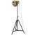 Lampă de podea 25 W, alamă antichizată, 61x61x90/150 cm, E27 GartenMobel Dekor