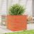 Jardinieră grădină, maro ceruit, 70x70x68,5 cm, lemn masiv pin GartenMobel Dekor