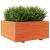 Jardinieră grădină maro ceruit, 100x100x49,5 cm, lemn masiv pin GartenMobel Dekor