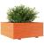 Jardinieră grădină maro ceruit, 110x110x49,5 cm, lemn masiv pin GartenMobel Dekor