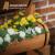 Jardiniera decorativa cu suport pentru plante cataratoare, lemn, 2 nivele, tip butoi, 45x45x80 cm GartenVIP DiyLine