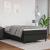 Cadru de pat box spring, negru, 120x200 cm, piele ecologică GartenMobel Dekor