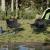 Scaune de camping cu buzunar, pliabile, 2 buc., negru GartenMobel Dekor