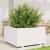 Jardinieră de grădină, alb, 90x90x49,5 cm, lemn masiv de pin GartenMobel Dekor