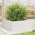 Jardinieră de grădină, alb, 60x60x23 cm, lemn masiv de pin GartenMobel Dekor