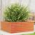 Jardinieră grădină, maro ceruit, 60x60x23 cm, lemn masiv pin GartenMobel Dekor