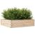 Jardinieră de grădină, 90x90x23 cm, lemn masiv de pin GartenMobel Dekor