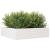 Jardinieră de grădină, alb, 90x90x23 cm, lemn masiv de pin GartenMobel Dekor