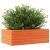 Jardinieră de grădină, maro ceruit, 70x40x23 cm, lemn masiv pin GartenMobel Dekor