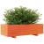 Jardinieră grădină, maro ceruit, 90x40x26,5 cm, lemn masiv pin GartenMobel Dekor