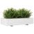 Jardinieră de grădină, alb, 110x60x26,5 cm, lemn masiv de pin GartenMobel Dekor