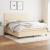 Pat box spring cu saltea, crem, 160x200 cm, material textil GartenMobel Dekor