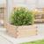 Jardinieră de grădină, 50x50x23 cm, lemn masiv de pin GartenMobel Dekor