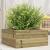 Jardinieră de grădină, 50x50x23 cm, lemn de pin impregnat GartenMobel Dekor