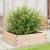 Jardinieră de grădină, 80x80x23 cm, lemn masiv de pin GartenMobel Dekor