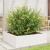 Jardinieră de grădină, alb, 80x80x23 cm, lemn masiv de pin GartenMobel Dekor