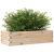 Jardinieră de grădină, 90x40x23 cm, lemn masiv de pin GartenMobel Dekor