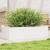 Jardinieră de grădină, alb, 90x40x23 cm, lemn masiv de pin GartenMobel Dekor