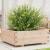 Jardinieră de grădină, 70x70x26,5 cm, lemn masiv de pin GartenMobel Dekor