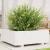 Jardinieră de grădină, alb, 70x70x26,5 cm, lemn masiv de pin GartenMobel Dekor
