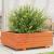 Jardinieră grădină, maro ceruit, 70x70x26,5 cm, lemn masiv pin GartenMobel Dekor