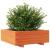 Jardinieră grădină, maro ceruit, 70x70x26,5 cm, lemn masiv pin GartenMobel Dekor