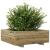 Jardinieră de grădină, 70x70x26,5 cm, lemn de pin impregnat GartenMobel Dekor