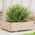Jardinieră de grădină, 80x80x26,5 cm, lemn masiv de pin GartenMobel Dekor
