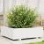 Jardinieră de grădină, alb, 80x80x26,5 cm, lemn masiv de pin GartenMobel Dekor
