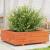 Jardinieră grădină, maro ceruit, 80x80x26,5 cm, lemn masiv pin GartenMobel Dekor