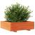 Jardinieră grădină, maro ceruit, 80x80x26,5 cm, lemn masiv pin GartenMobel Dekor