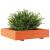 Jardinieră grădină, maro ceruit, 110x110x26,5cm, lemn masiv pin GartenMobel Dekor