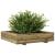 Jardinieră de grădină, 110x110x26,5 cm, lemn de pin impregnat GartenMobel Dekor