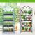 Mini solar de gradina cu 4 niveluri, usa rulou cu fermoar, folie pvc, 160x69x49 cm MultiMark GlobalProd