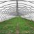 Folie acoperire solar, rola 12x24 m, rezistenta uv, diferite grosimi, polietilena grosime 200 microni MultiMark GlobalProd