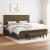 Pat box spring cu saltea, maro închis, 200x200 cm, textil GartenMobel Dekor