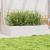 Jardinieră de grădină, alb, 110x60x23 cm, lemn masiv de pin GartenMobel Dekor