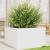 Jardinieră de grădină, alb, 80x80x45,5 cm, lemn masiv de pin GartenMobel Dekor